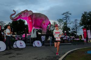 BIB: 
                            <button type="button" onclick="openModal(26529601)" class="btn btn-primary btn-sm float-right btn-popup" data-toggle="modal" data-target=".modal-high-quality">
                        <i class="fas fa-shopping-cart"></i> Add to Cart
                    </button>
                                            <button type="button" onclick="isThisMe(26529601, true)" class="btn btn-success btn-sm float-right btn-popup btn-isme hidden" data-toggle="tooltip" data-placement="bottom" title="นี่คือรูปของคุณใช่ไหม คลิกที่นี่เพื่อเอาเข้าอัลบั้ม">
                        <i class="fas fa-plus"></i> Add to album
                    </button>
                    <button type="button" onclick="isThisMe(26529601, false)" class="btn btn-warning btn-sm float-right btn-popup btn-isnotme hidden">
                        <i class="fas fa-ban"></i> Remove from album
                    </button>